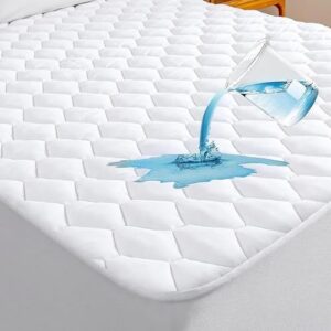 واقي المرتبة